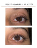 Lash Builder Serum