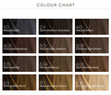 BioKap Rapid Permanent Hair Dye (16 Shades)